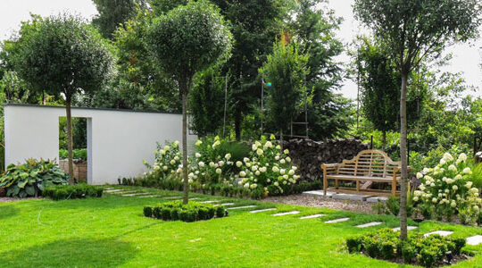 jardinerie-en-ligne-et-ses-avantages-par-rapport-aux-magasins-physiques